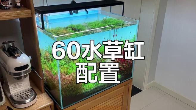 繁殖缸中需要哪些設備