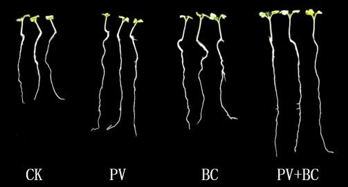 醋液復合處理法在工業中如何應用？