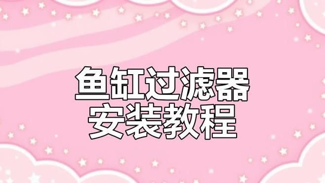 飛鳳魚混養需要多大的過濾？（鳳魚混養需要較大的過濾系統由于飛鳳魚與飛鳳魚的混養）