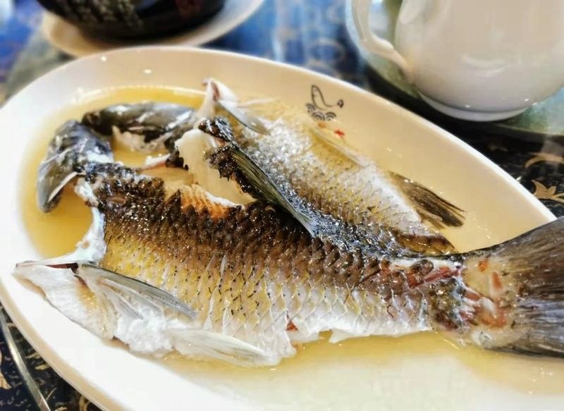 古龍魚莊有哪些套餐可選