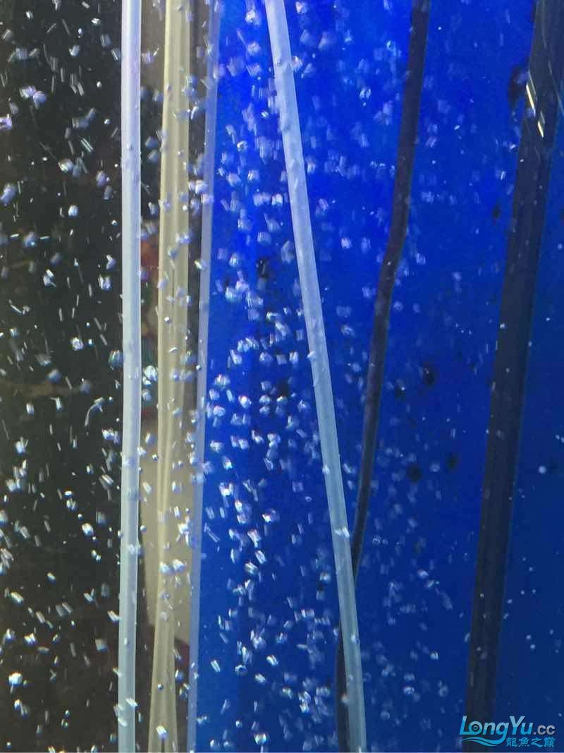 長黑點了怎么事啊？