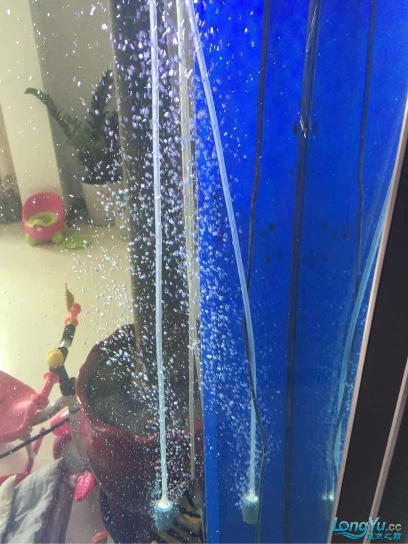 長黑點了怎么事啊？