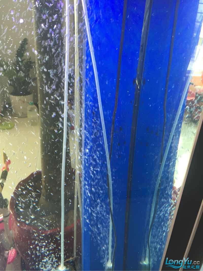 長黑點了怎么事啊？