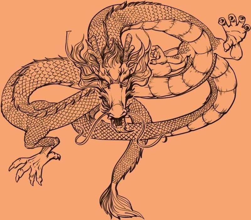 南京龍魚文化傳媒的知乎賬號是什么（關于南京龍魚文化傳媒的問題）