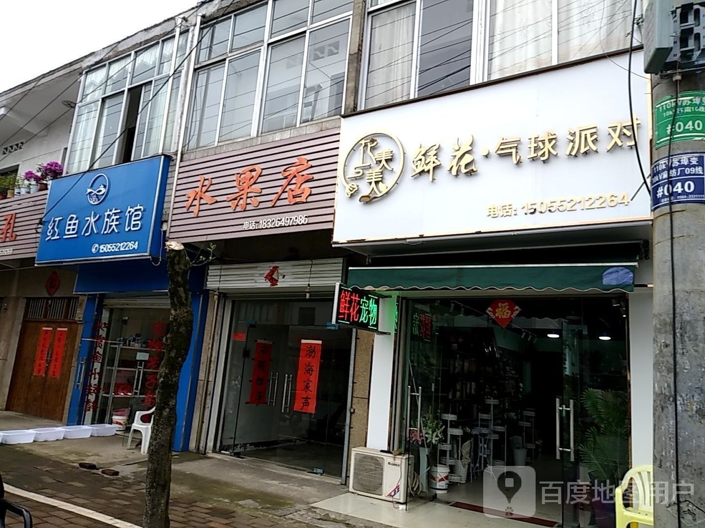 英山哪個水族館龍魚好？祥龍魚場龍魚（英山哪個水族館龍魚好）