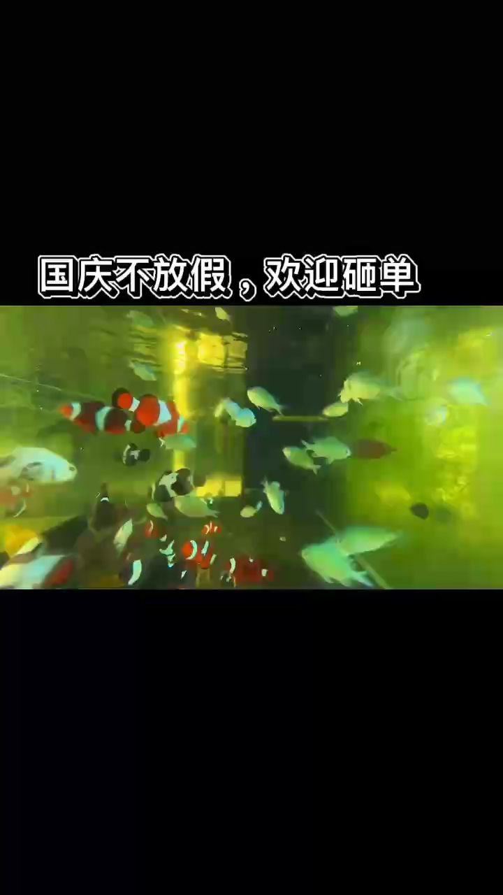 尼莫尼莫（尼莫尼莫，一種源自非洲的神秘文化現象）