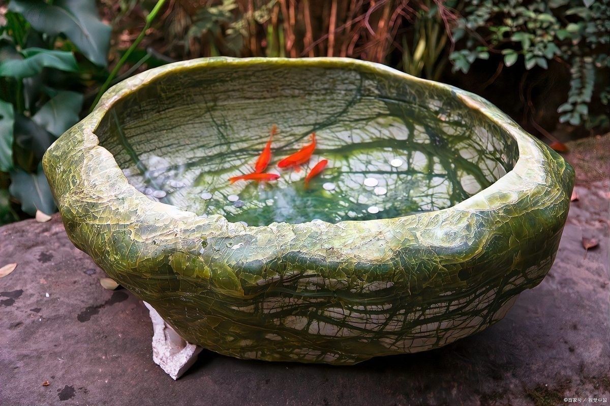 龍魚造景后多久可以放魚（魚造景后放魚的時間取決于多種因素）