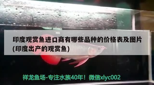 速倍妥有哪些主打產品？，治療慢性乙型肝炎的藥物速倍妥主要產品包括以下幾種 速倍妥有哪些主打產品？，治療慢性乙型肝炎的藥物速倍妥主要產品包括以下幾種 龍魚百科 第2張