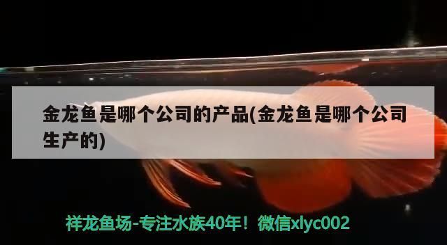水族缸里，可以養什么比較好看的熱帶魚，容易養的，缸是60