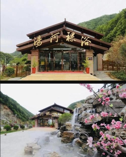 盧氏哪個(gè)水族館龍魚好？祥龍魚場龍魚（盧氏縣水族館祥龍魚場龍魚養(yǎng)殖）