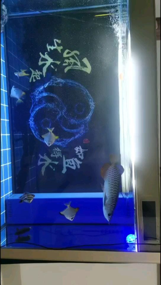 這樣的游應該狀態回來了也吃東西了