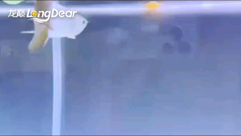 轉發879