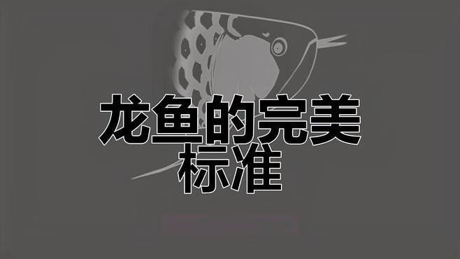 如何判斷龍魚圖片的質量？