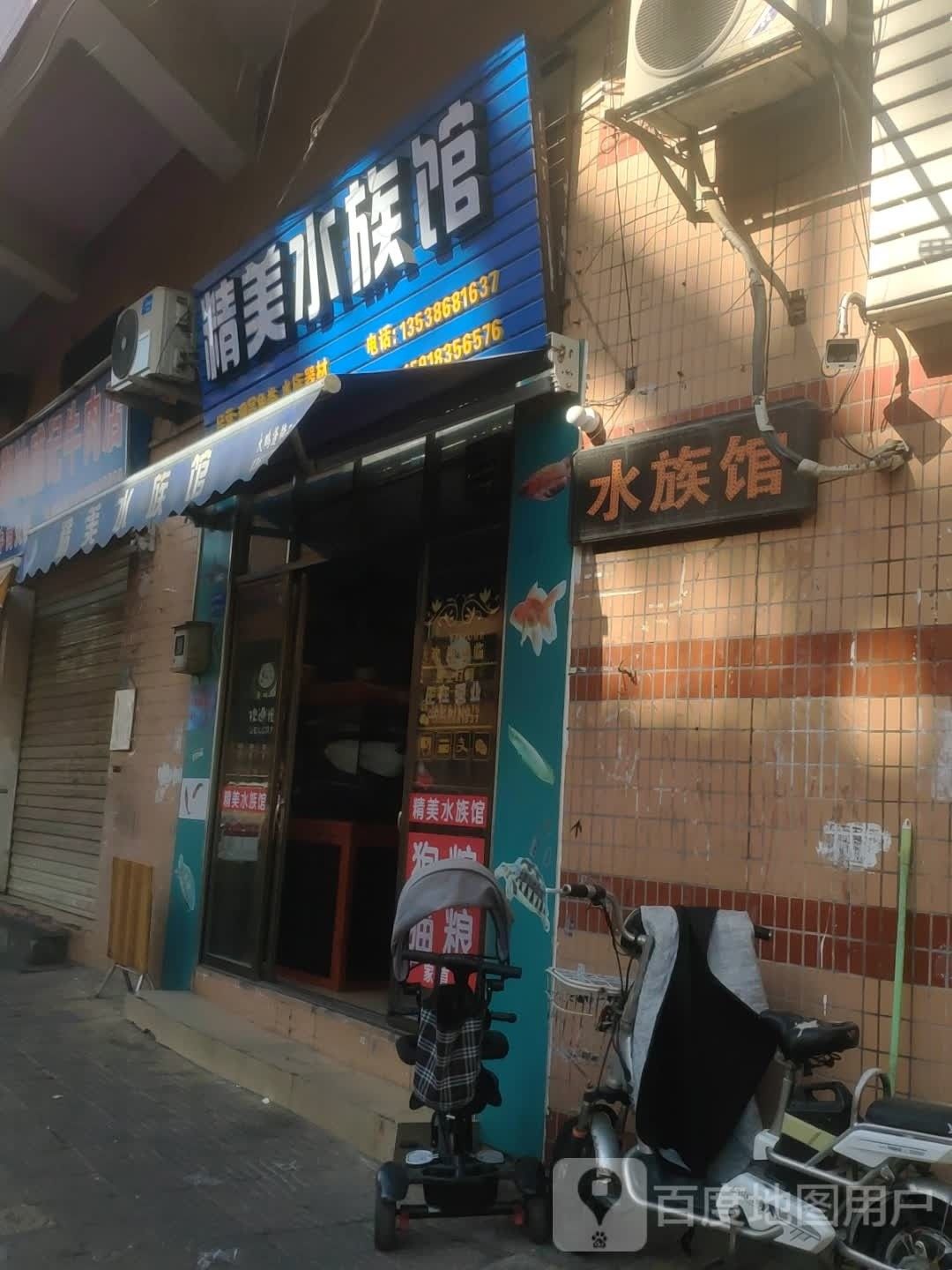 龍眼市場附近有水族市場嗎？（龍眼市場附近哪個水族市場最大） 龍眼市場附近有水族市場嗎？（龍眼市場附近哪個水族市場最大） 龍魚百科 第3張
