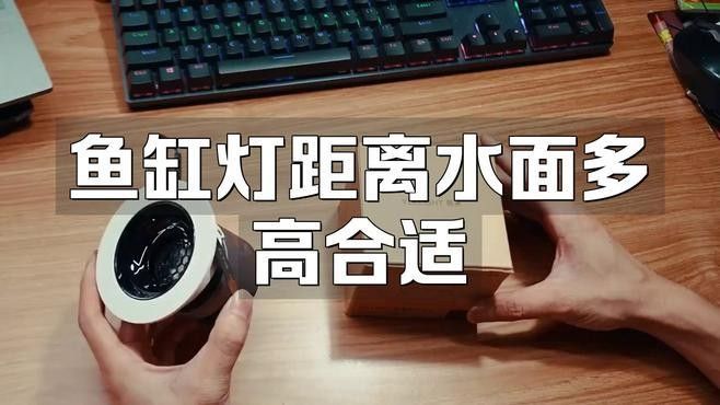 龍魚燈光距離水面多遠合適（——龍魚燈光距離水面的合適距離是至關重要的）