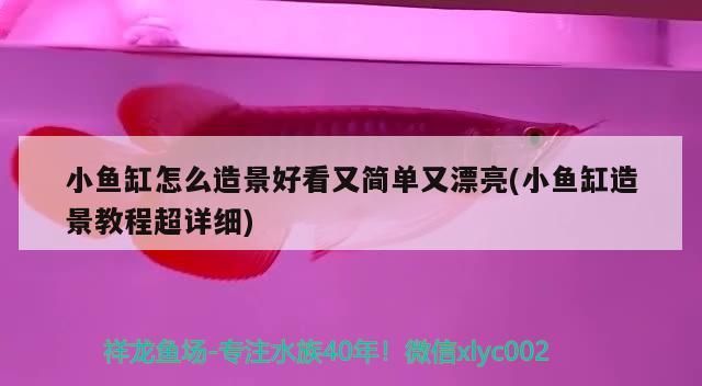 金龍魚是新加坡的嗎? 金龍魚是不是新加坡品牌（金龍魚是新加坡的品牌嗎？）