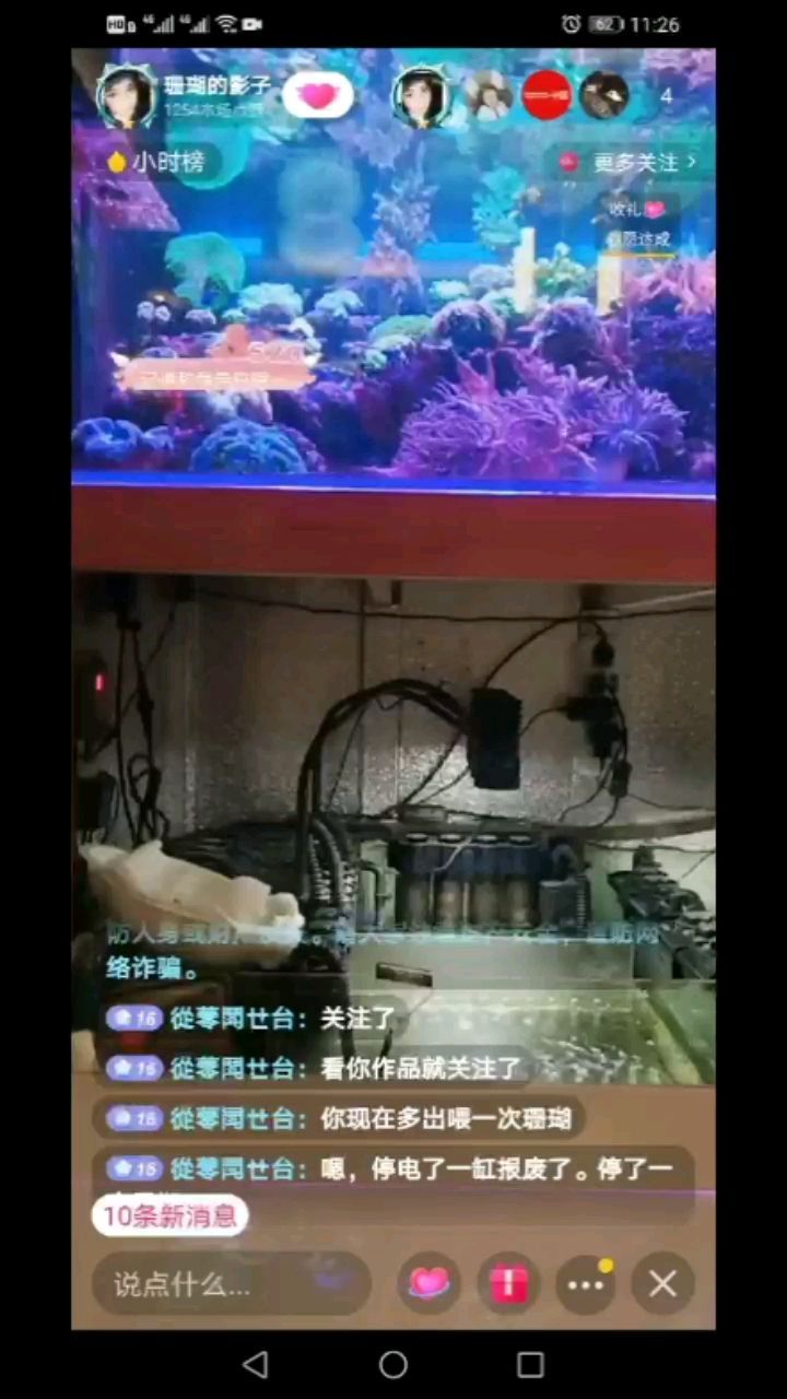 遼陽觀賞魚市場海水缸欣賞（遼寧遼陽觀賞魚市場）