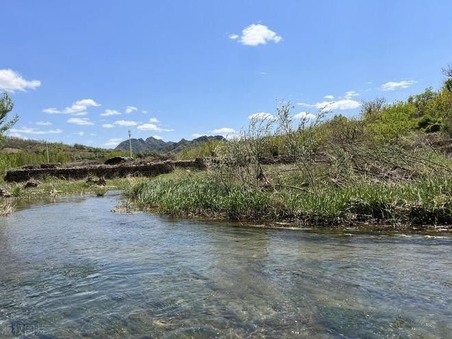 金龍魚卵可以保存多久？（金龍魚卵在什么溫度下保存最好？）