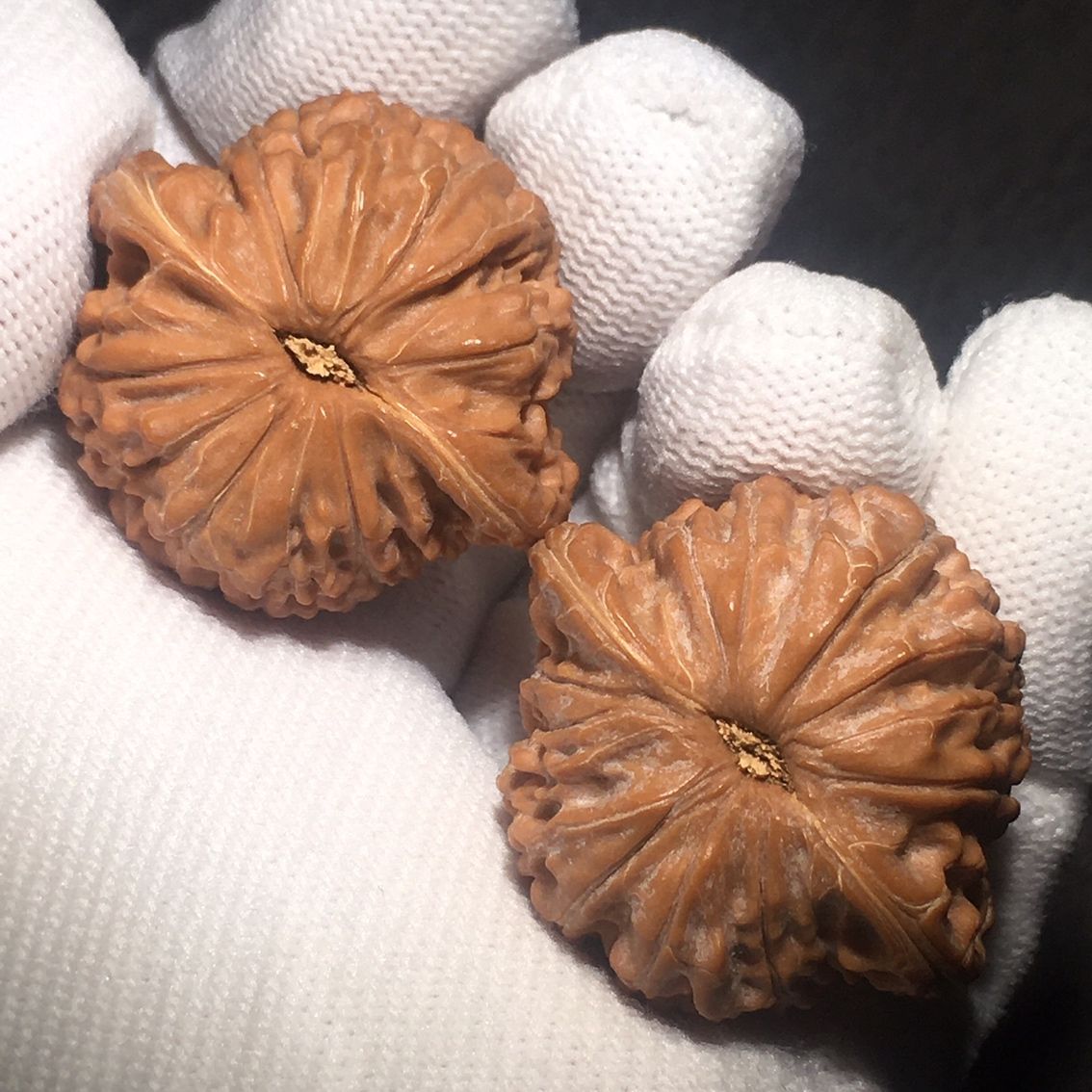 紅皮小磨盤文玩核桃（皮小磨盤文玩核桃）