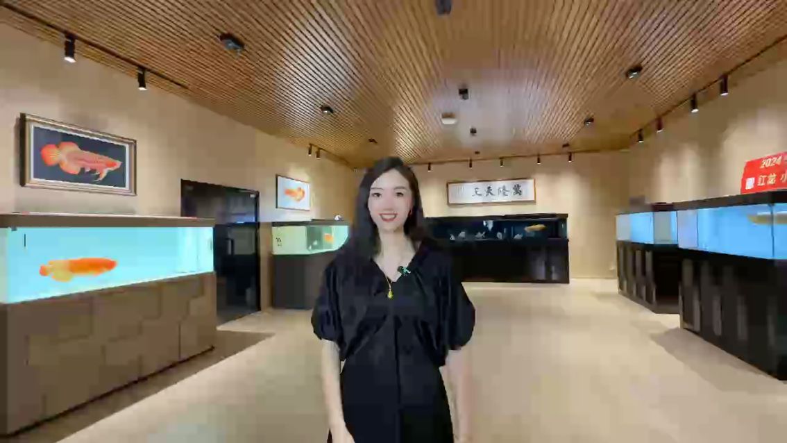 重要通知?? 10.1-10.8日天天在崗?????? 歡迎大駕光臨萬隆天王紅龍漁場????????? 祝大家雙節快樂???????????? #萬隆天王紅龍#紅龍 #龍魚 #觀賞魚