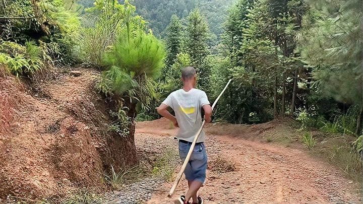 過山龍魚為何被列為保護動物（農(nóng)村山路邊發(fā)現(xiàn)一株6米長“過山龍”,很多人沒見過,拍給大家看看鄉(xiāng)村凱迪）