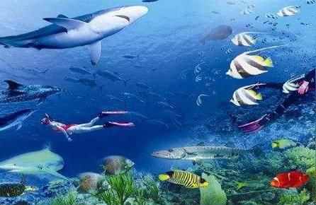臺州水族館（臺州海洋世界僅有的兩個從上往下參觀的水族館之一）