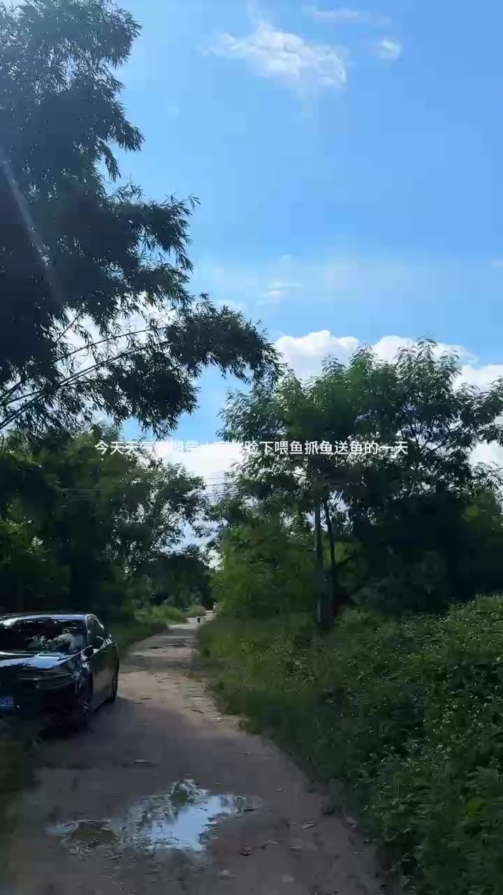 養魚人的一天（養魚人的一天是如何度過的？）