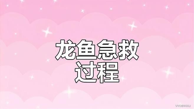 龍魚離開水后如何搶救（如何搶救龍魚離開水）