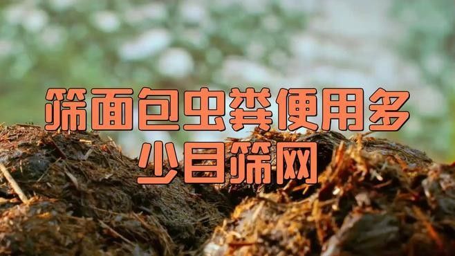 如何判斷面包蟲是否感染（如何判斷面包蟲感染？）