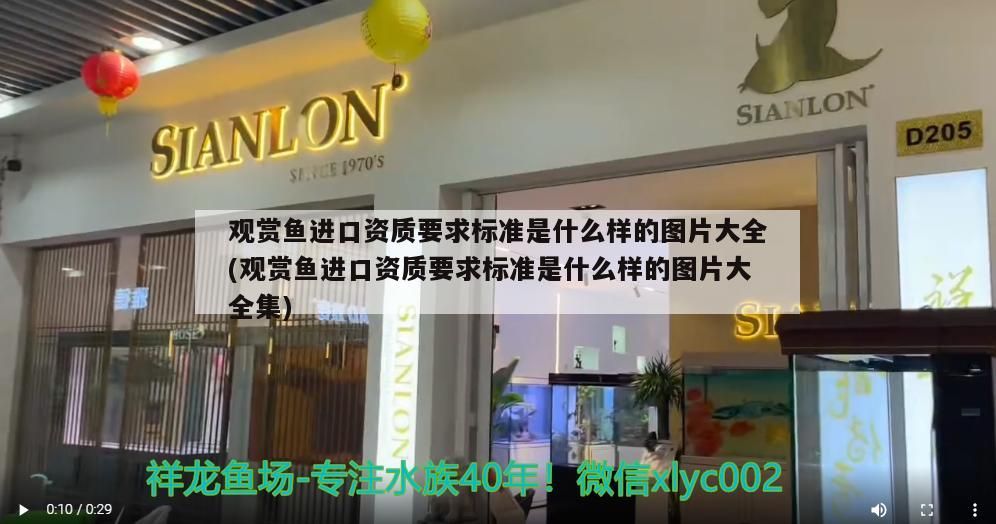 觀賞魚進口資質要求標準是什么樣的圖片大全(觀賞魚進口資質要求標準是什么樣的圖片大全集)（觀賞魚養殖技術）