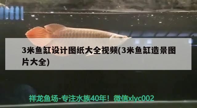 3米魚缸設計圖紙大全視頻(3米魚缸造景圖片大全)（3米魚缸設計圖紙）