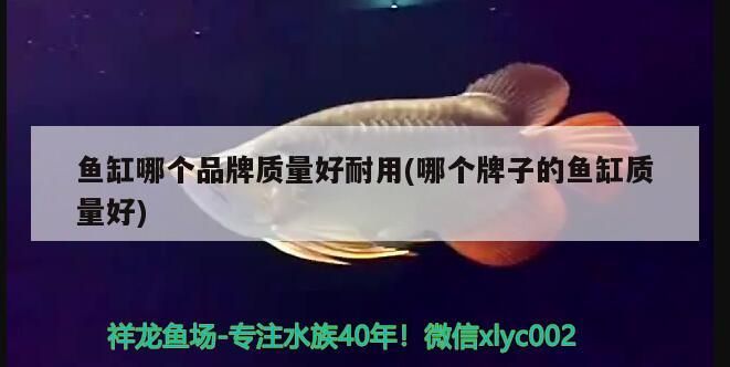 魚缸哪個品牌質量好耐用(哪個牌子的魚缸質量好)（什么牌子的魚缸質量好耐用的知識，魚缸哪個牌子的質量好）