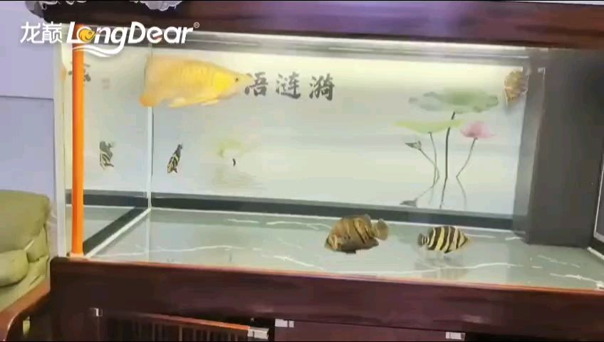 轉發878（“轉發878”現象的應對策略）