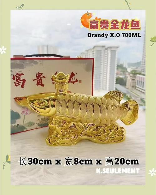 金龍魚酒有哪些系列？（深度分析各自特點(diǎn)及名酒）