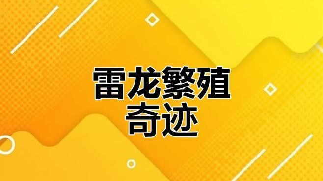 彩虹雷龍魚繁殖過程（彩虹雷龍魚繁殖全過程揭秘）