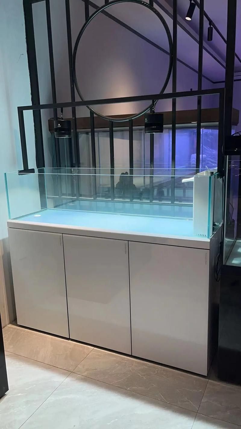 如何聯系重慶龍魚缸定做店（如何聯系重慶龍魚缸定做店的方法）