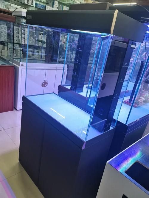 如何聯系重慶龍魚缸定做店（如何聯系重慶龍魚缸定做店的方法）