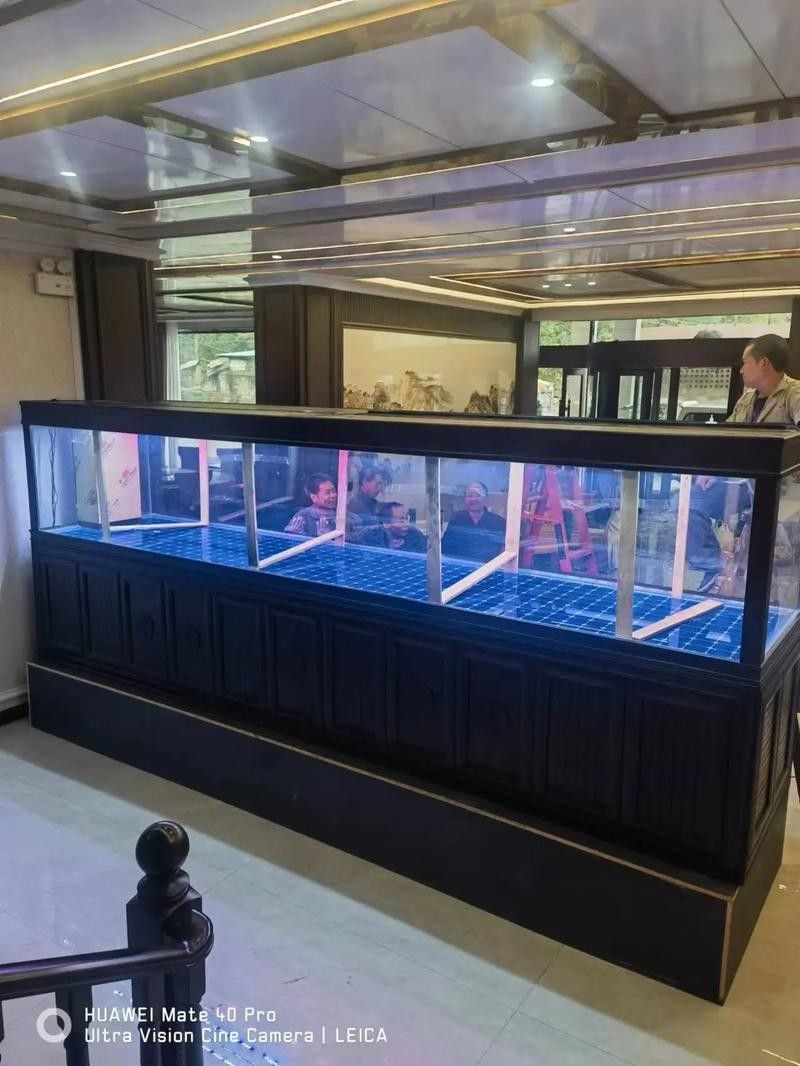 如何聯系重慶龍魚缸定做店（如何聯系重慶龍魚缸定做店的方法）