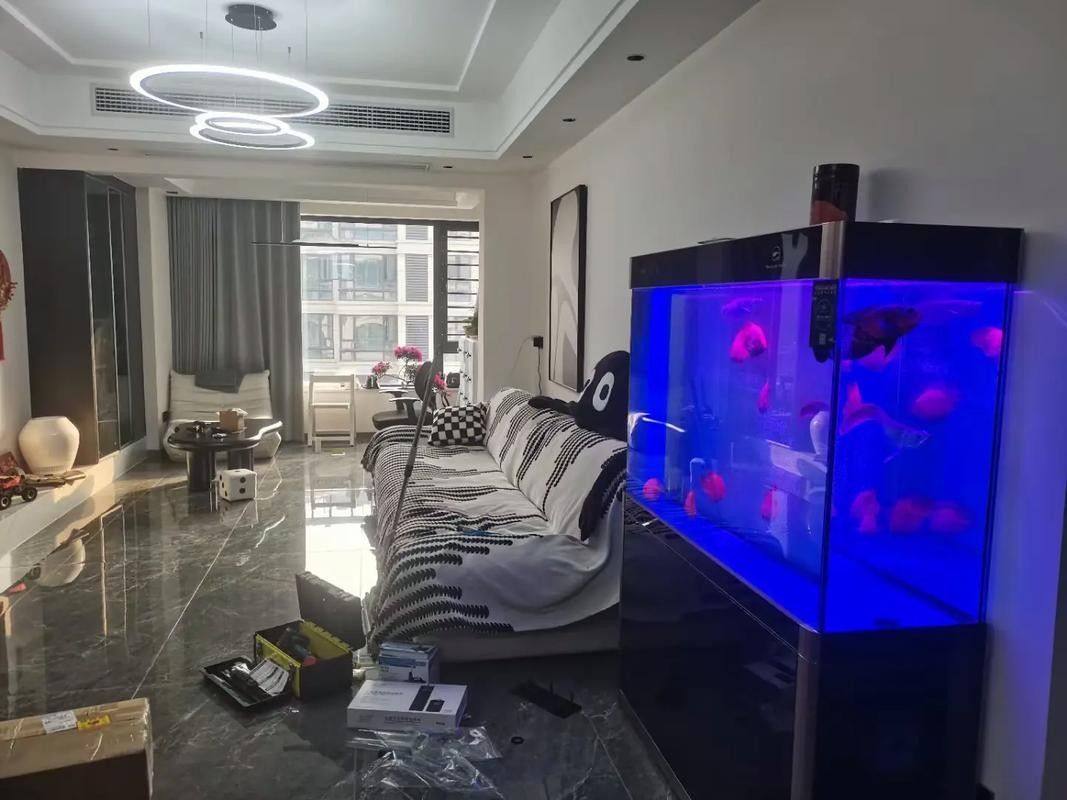如何聯系重慶龍魚缸定做店（如何聯系重慶龍魚缸定做店的方法）