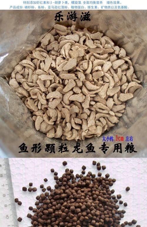 龍魚幼苗喂什么食物好（老農談三農龍魚如何飼養運富春）