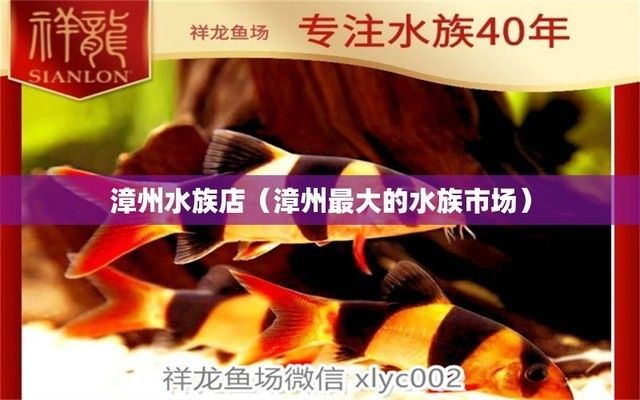 蘇輕雨在《蝕骨危情》中的結(jié)局是什么，《蝕骨危情》原著中沒有蘇輕雨這個角色的結(jié)局是什么
