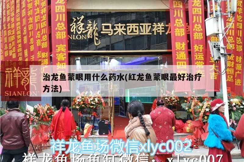 治龍魚蒙眼用什么藥水(紅龍魚蒙眼最好治療方法)（治龍魚蒙眼用什么藥水）