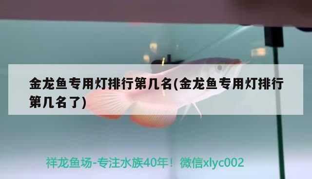 金龍魚專用燈排行第幾名(金龍魚專用燈排行第幾名了)（燈具品牌最新排行榜） 金龍魚專用燈排行第幾名(金龍魚專用燈排行第幾名了)（燈具品牌最新排行榜） 觀賞魚百科