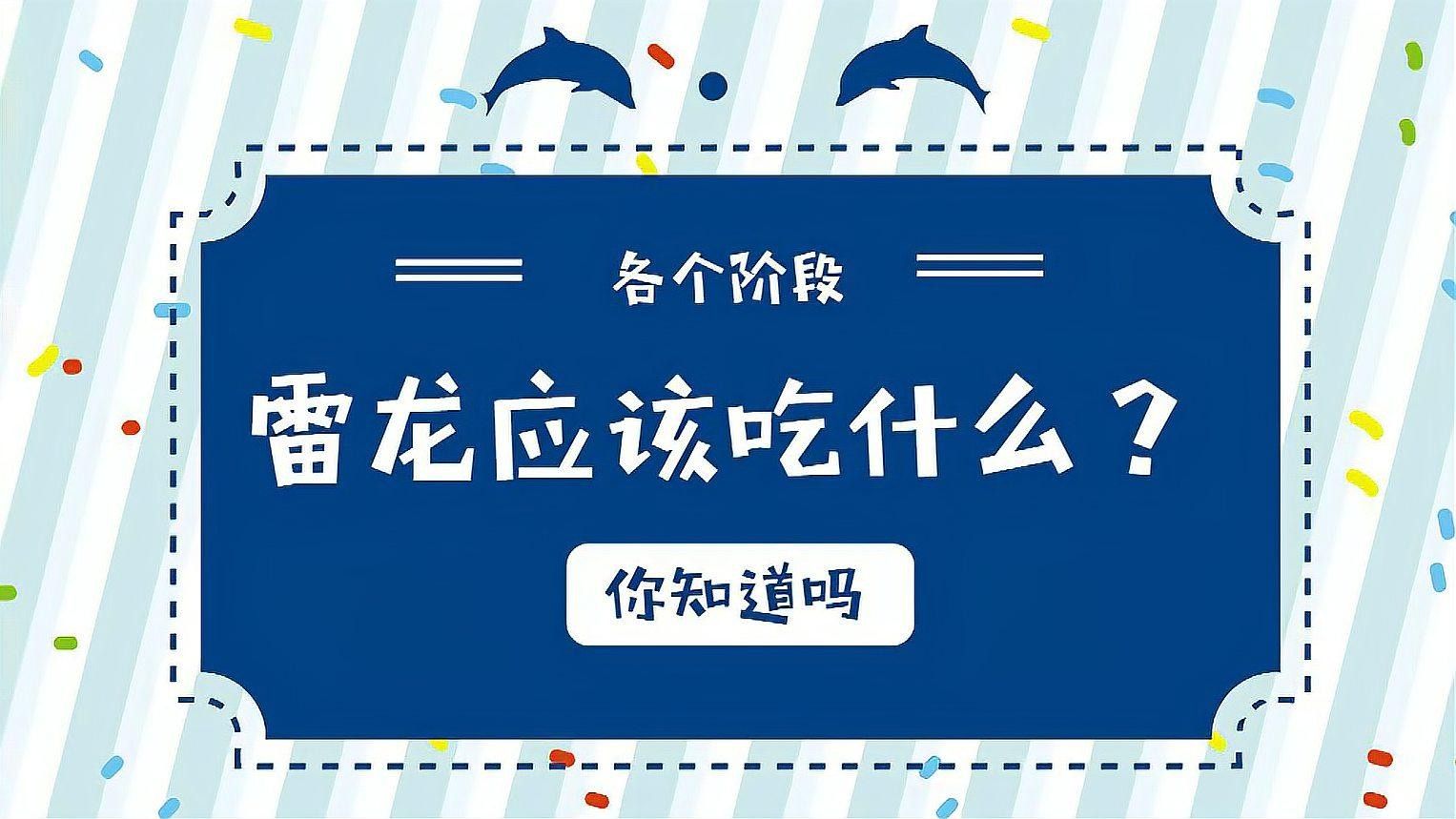 雷龍魚多久喂一次合適？（各階段的雷龍應該怎么喂養）