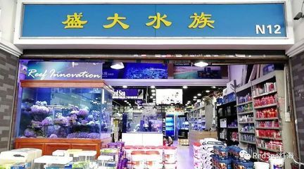 廣州水族批發(fā)市場在哪里有賣的：廣州水族批發(fā)市場 廣州水族批發(fā)市場在哪里有賣的：廣州水族批發(fā)市場 觀賞魚百科 第3張