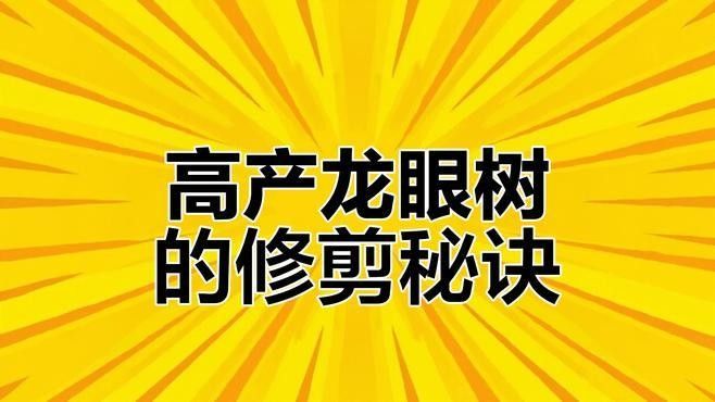 如何改善龍眼樹的通風透光（如何改善龍眼樹的通風透光性）
