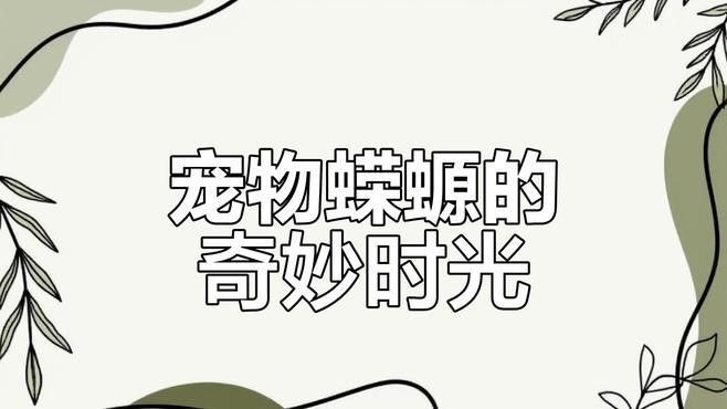 蠑螈有哪些互動行為（蠑螈在自然環境中表現出以下幾種互動行為）