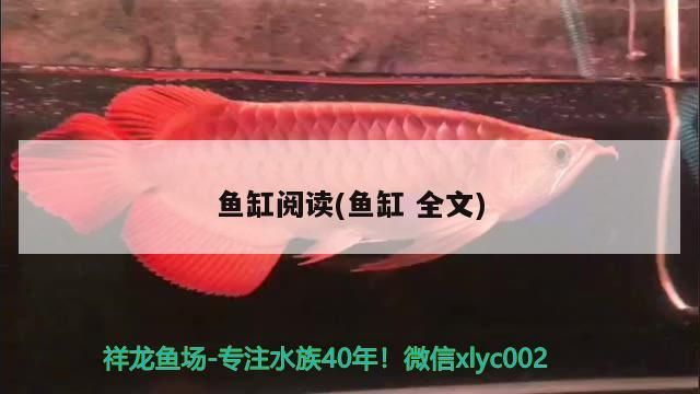 魚(yú)缸閱讀(魚(yú)缸全文)（關(guān)于魚(yú)缸閱讀和魚(yú)缸全文）