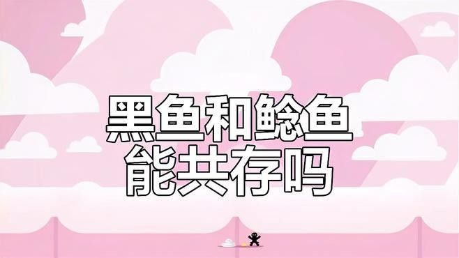 黑魚與哪些魚類混養比較合適（黑魚與其他魚類混養是一個常見且有益的實踐）