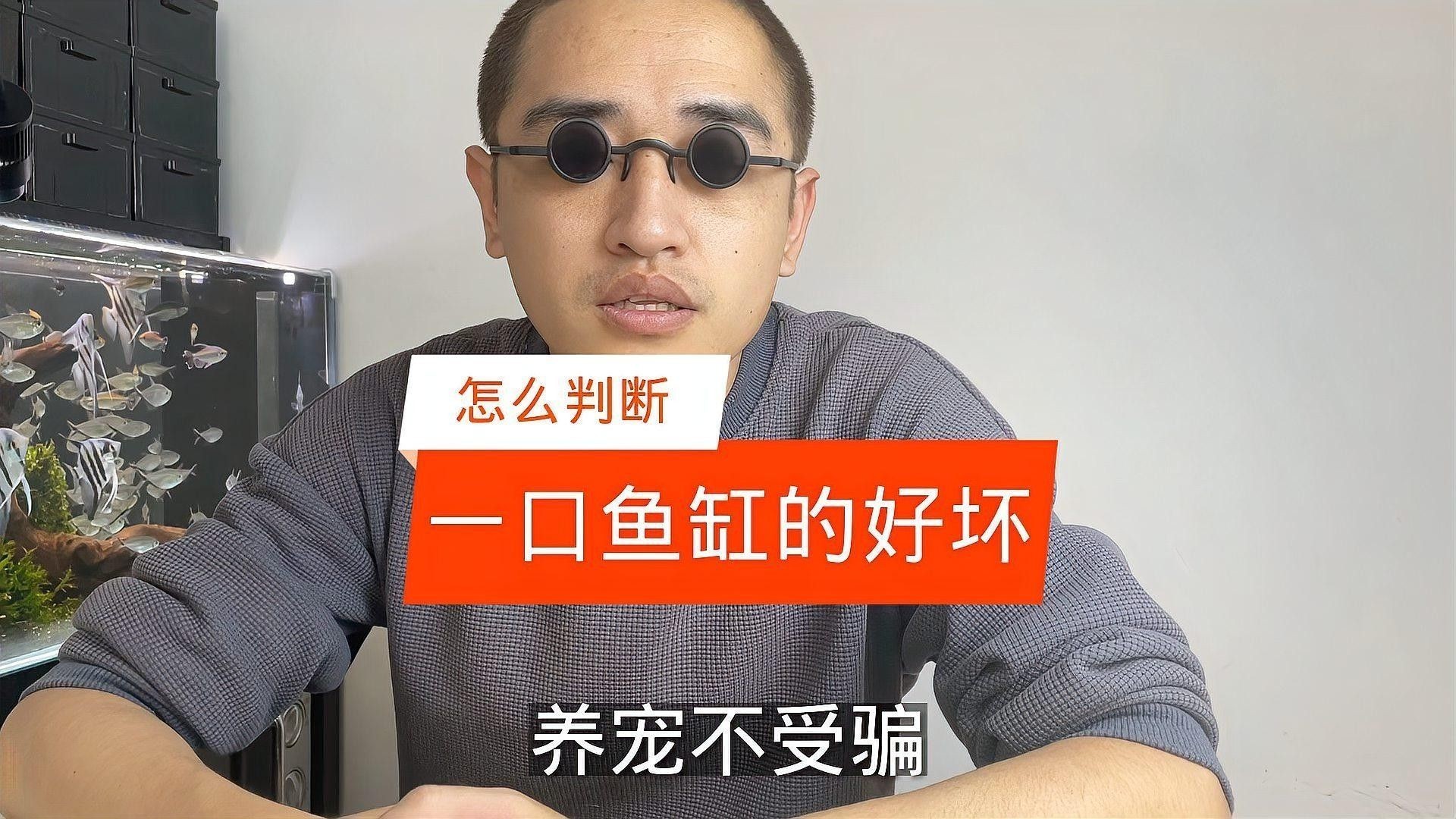 如何判斷一個(gè)魚缸品牌是否可靠（一個(gè)魚缸品牌是否可靠）